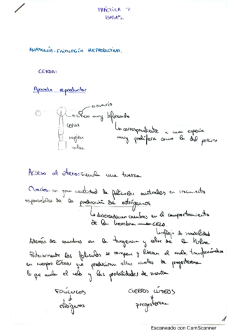 Apuntes-fisiologia.pdf