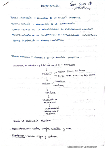 Resumen-Alimentacion.pdf