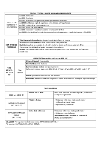 Delito-Homicidio.pdf