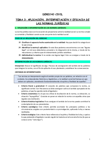 Resumen-tema-3-Aplicacion-interpretacion-y-eficacia-de-las-normas-juridicas.pdf