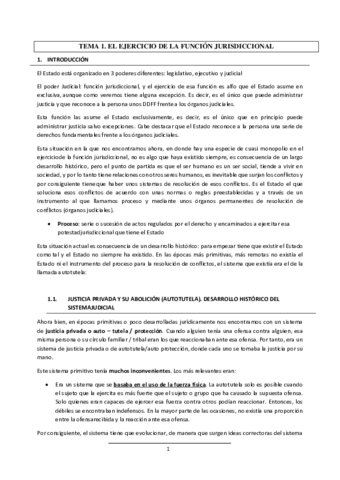 SISTEMA JUDICIAL - Temario Completo.pdf