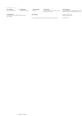 Respuestas histología.pdf