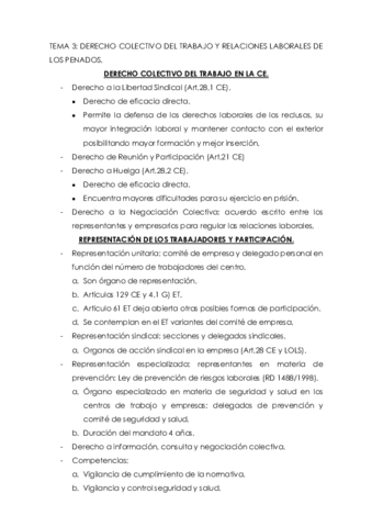 TEMA-3-SOCIOLABORAL.pdf