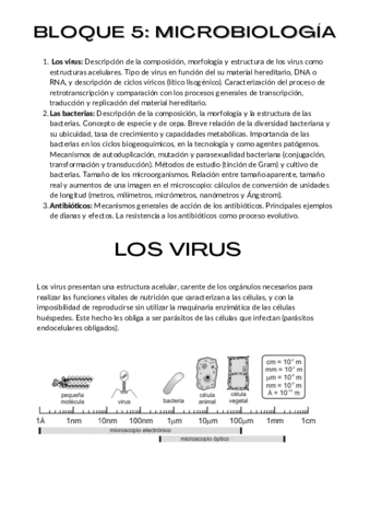 Bacteria.pdf