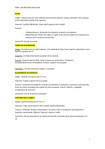 Musculos-test-final-valoracion-muscular.pdf