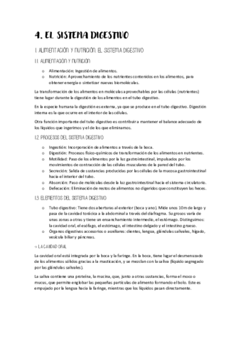 t4-anatomia.pdf