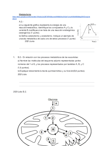 2. Metabolismo.pdf