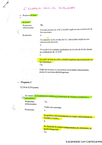 seg-parcial-Bioq-curso-2019-2020.pdf