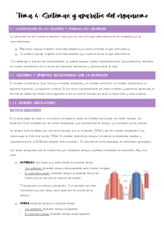 tema-4-fisio.pdf