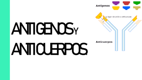 Antigenos-y-Anticuerpos.pdf