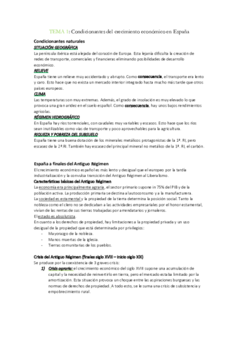 RESUMEN-TODOS-LOS-TEMAS.pdf
