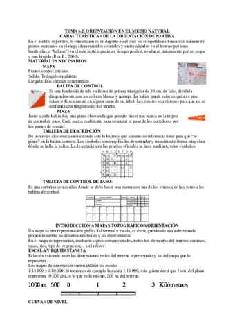 TEMA-6.pdf