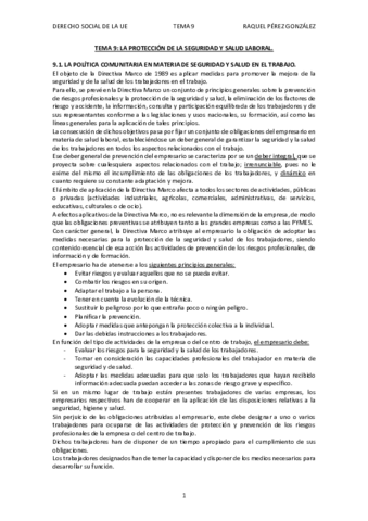 TEMA-9-LA-PROTECCION-DE-LA-SEGURIDAD-Y-SALUD-LABORAL.pdf