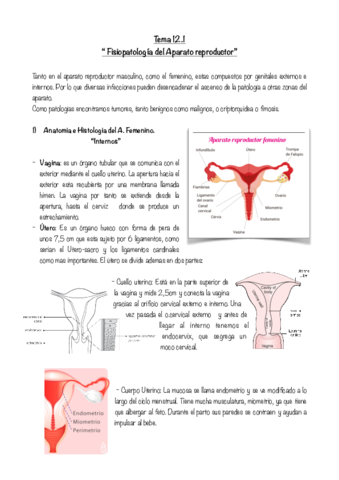 Tema-12.pdf