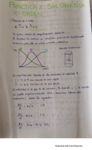 PRACTICAS-SIMULACION.pdf