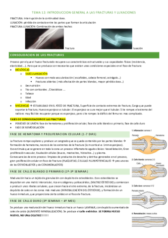 tema-12.pdf