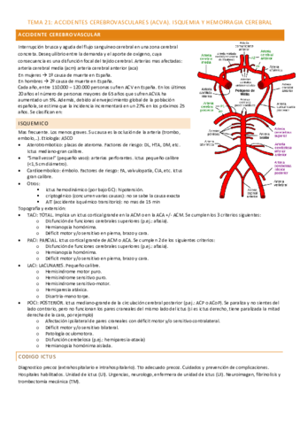 tema-21.pdf