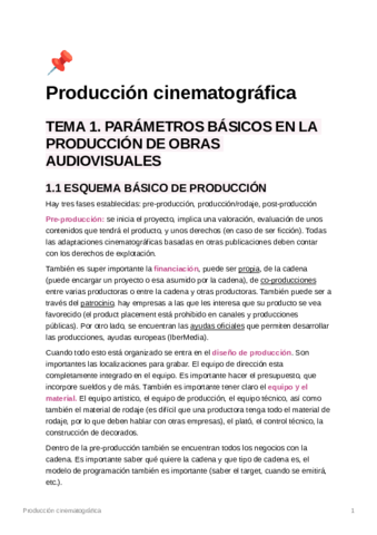 Produccincinematogrfica.pdf