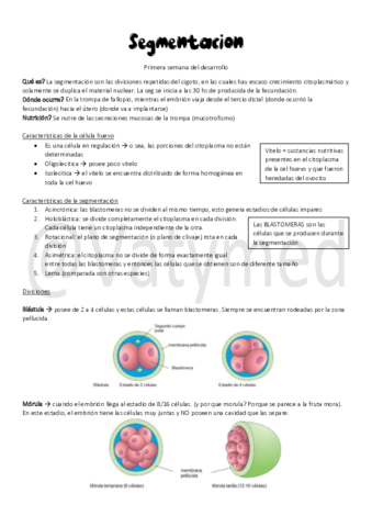 Segmentacion.pdf