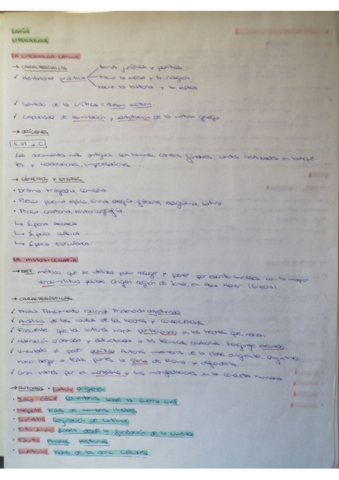 Escaneado-20220601-1728.pdf