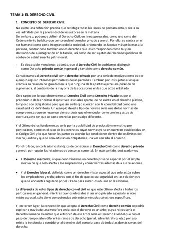 apuntes-civil-DEFINITIVOS.pdf