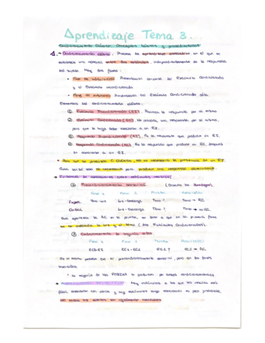 Resumen-Tema3.pdf