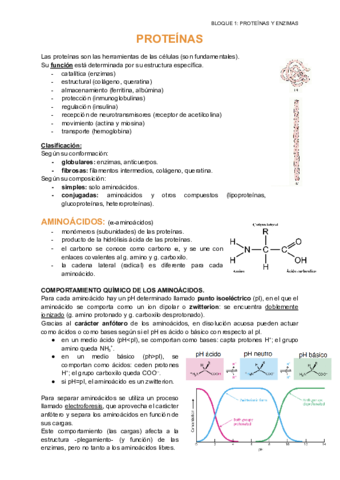 bloque-I-proteinas-y-enzimas.pdf