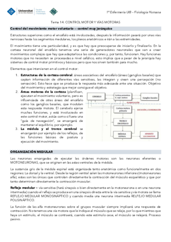 Tema-14-Fisiologia-Vias-motoras.pdf