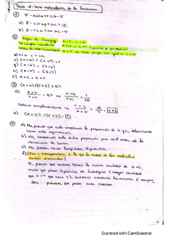 Problemas-2do-Cuatri-Temas-11-19.pdf