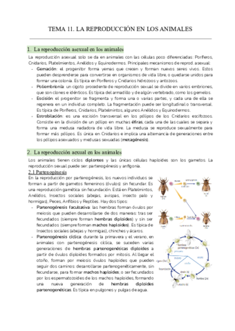 Tema-11.pdf