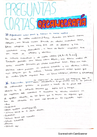 Preguntas-cortas-organografia.pdf