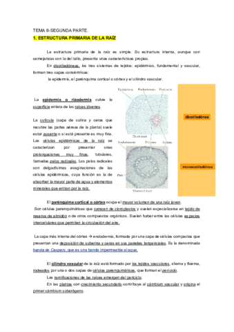 TEMAS-8-AL-15.pdf