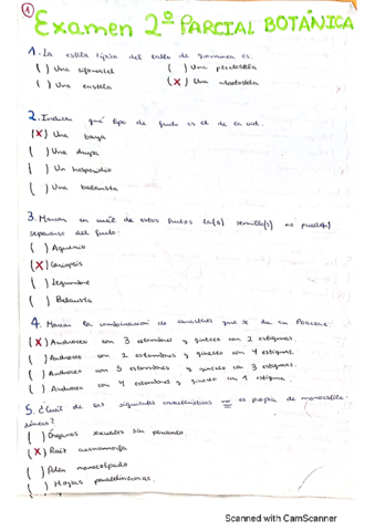 Preguntas-segundo-parcial-botanica.pdf