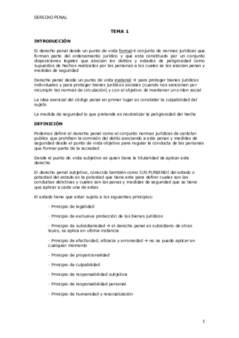 Derecho-Penal-tema-1-12.pdf