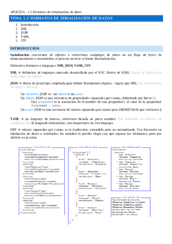 TEMA12.pdf