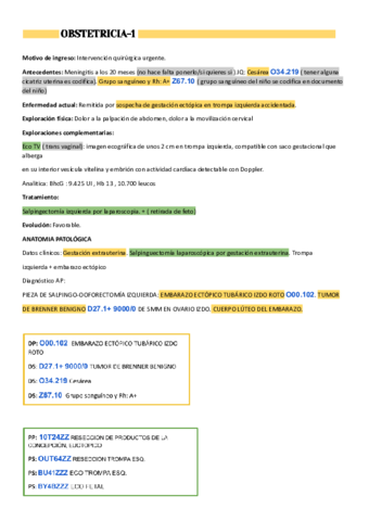 OBSTETRICIA-1-Lucia.pdf