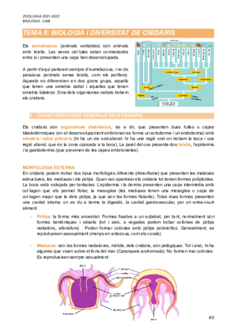 Segon-Parcial-Zoologia-21-22.pdf