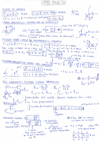 CAMPO-MAGNETICO.pdf