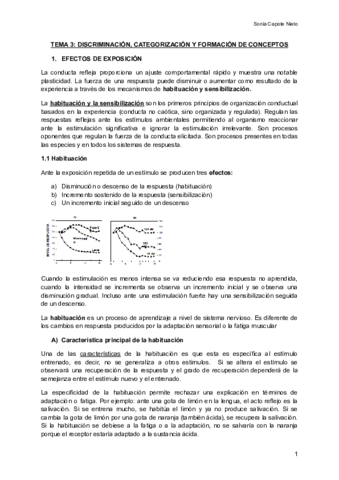 TEMA-3-DISCRIMINACION-CATEGORIZACION-Y-FORMACION-DE-CONCEPTOS-Documentos-de-Google.pdf