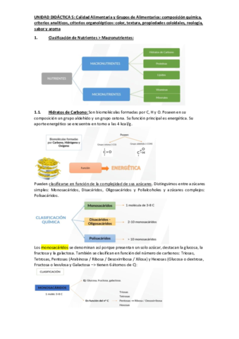 TEMA-5-RESUMEN-TOTAL.pdf