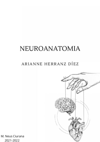 RESUMEN-FINAL-NEUROANATOMIA.pdf