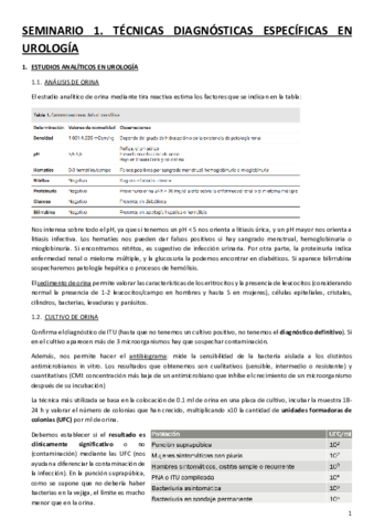SEMINARIOS-UROLOGIA.pdf