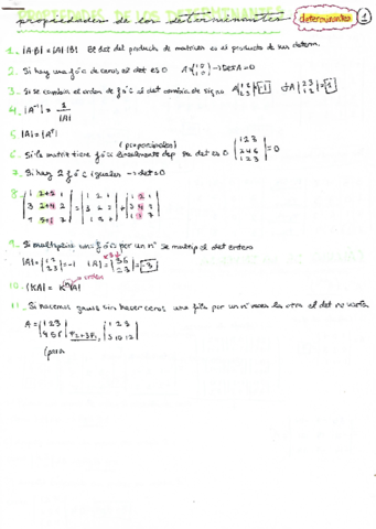Resumen-de-determinantes.pdf