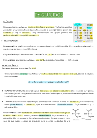 T2-GLUCIDOS.pdf