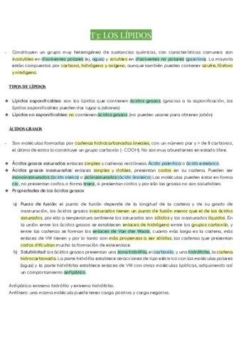 T3-LOS-LIPIDOS.pdf