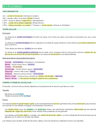 T6-Y-T7-LA-CELULA.pdf