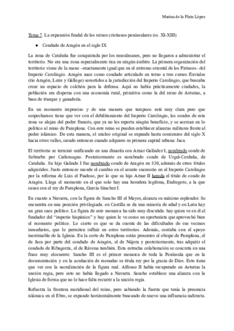 TEMA-7-MEDIEVAL.pdf