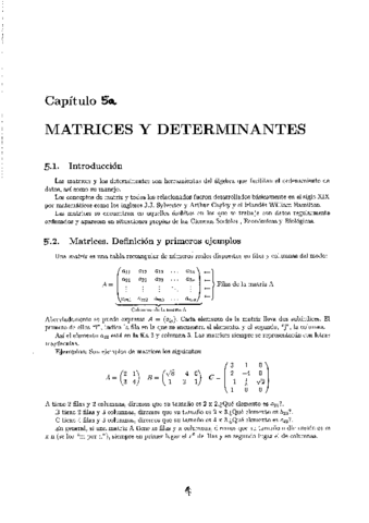 Cap4a-matrices.pdf