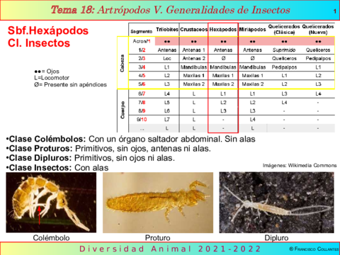 Tema18.pdf