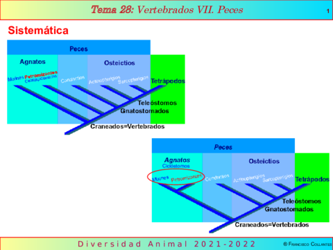 Tema28.pdf